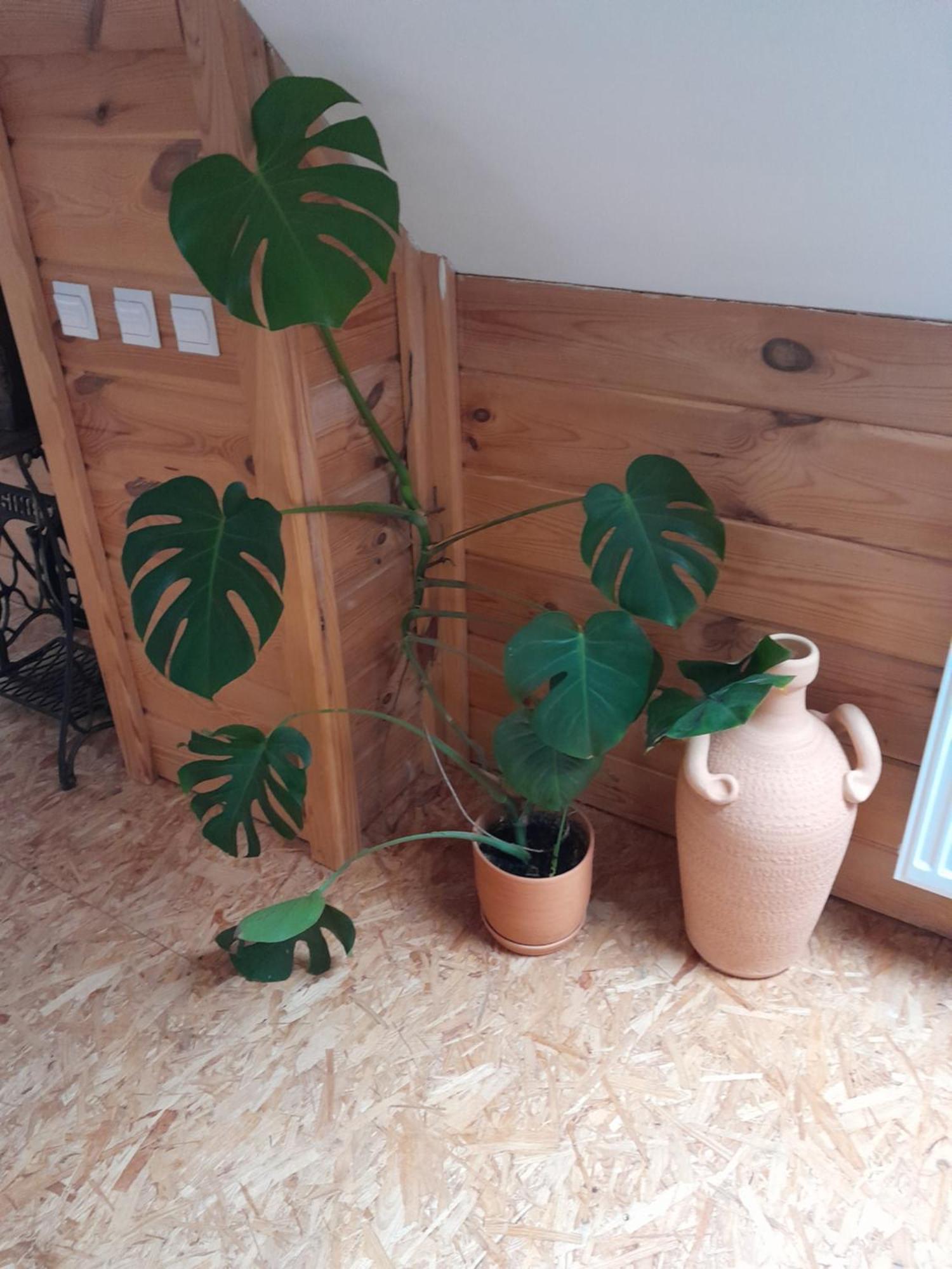 Farm stay Uroczysko Ruczaj *